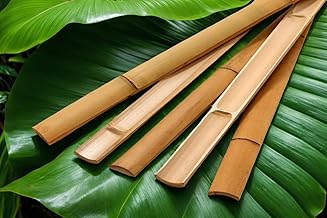 Nature LOUNGE Bambuslatte 160 x 5 cm – Natur Bambusleisten in vielen Größen – Natürliche Wandv…