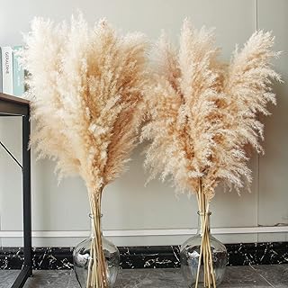 10 Pampas Grass XXL, Deko Gross für Boho DekoWohnzimmer Tisch Schlafzimmer Hochzeits Badezimmer …