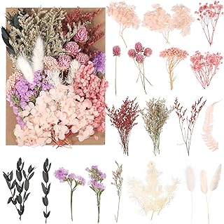 Natürliche getrocknte Blumen, echte getrocknte gepresste Bluman DIY gemischte getrocknte Bluman …