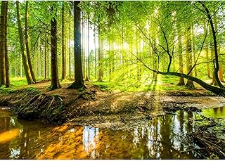 Runa Art Fototapete Wald Bach 352 x 250 cm Vlies Tapeten XXL Moderne Wandtapete Wohnzimmer Schlaf…