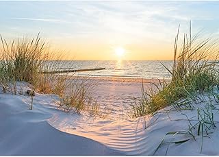 Runa Art Fototapete Strand Sonnenuntergang 352 x 250 cm Vlies Tapeten XXL Moderne Wandtapete Wohn…