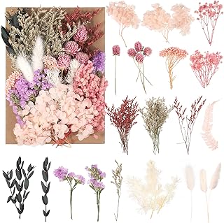 Natürliche getrocknte Blumen, echte getrocknte gepresste Bluman DIY gemischte getrocknte Bluman …