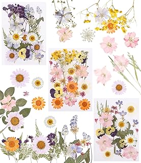 66 Stück Gepresste und Getrocknete Blumen, DIY Design