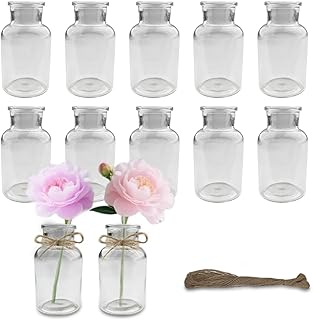 12 Stück Mini Glasvasen, 125ml Vasen Klein, mit Juteschnur, Vase Deko, Minimalistische Blumenvas…