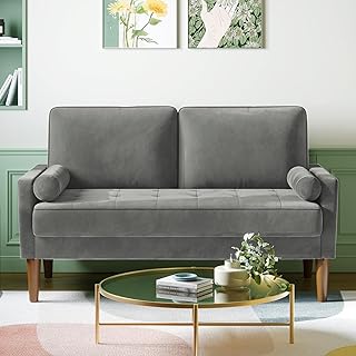 Couch 2 Sitzer, 121 cm Samt Kleines Sofa mit 2 Wurfkissen, Modern Mini Sofa, Getuftetes Kleine Co…