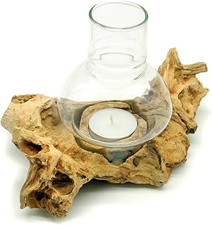 Windlicht Natur Holz Wurzel mit Glas hell Teelichthalter Windlichthalter (12-18 cm)