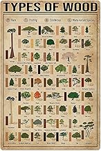 XingFox Holzarten und Baumarten – Wissenswertes – Kreatives, lustiges und originelles Geschen…