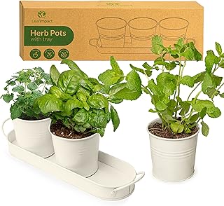 Kräutertöpfe für Zimmerpflanzen mit Tablett | Frische Kräuter Zuhause Anbauen | Kräutertopf …