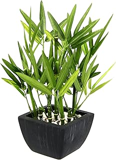 Künstlicher Bambus Pflanze in Schale Bambusgras Lemongras Kunstpflanze Grünpflanze Kunstbaum Ba…