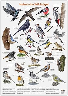 Luxus-Vogelhaus Hochwertiges Vogel-Poster DIN A2 zum Aufhängen – Großes Poster in Matt mit heim…