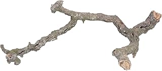 Lucky Reptile Tronchos – Korkäste, Größe:40-60 cm