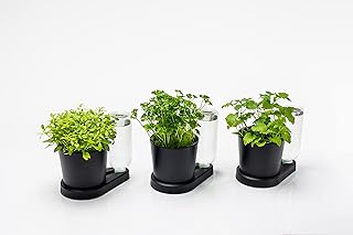 greevi kräuterheld 3er Set | Kräutertöpfe mit Selbstbewässerungssystem | Made in Germany | Ku…