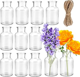 Kleine Glasvasen Small Vase,Pack of 12 Mini Glass Vases,125 ml Small Bottles with Jute Cord, Flow…