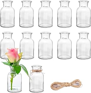 12 Stück Mini Glasvasen, 125ml kleine Väschen mit Juteschnur, Blumenvasen Tischvasen Glasvasen …