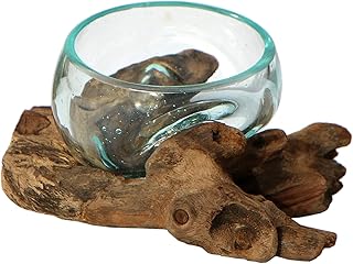 Glas-Schale Ø 7–8 cm auf Wurzelholz – handgefertigte Deko-Schale aus Glas und Naturholz – …