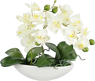 Künstliche Orchidee in Schale 27cm Kunstblume Blume Kunstorchidee Phalaenopsis mit Übertopf Kun…