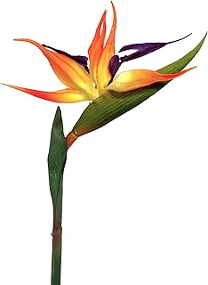 Floratexx Künstliche Strelitzie 60cm Kunstblume Paradiesvogelblume Papageienblume Tropische Pfla…