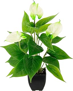 Künstliche Anthurium Pflanze im Topf Anthurie Calla exotische Flamingoblume exotische Blume mit …