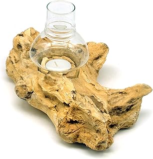 Windlicht Natur Holz Wurzel mit Glas hell Teelichthalter Windlichthalter (25-28 cm)
