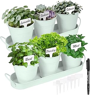 Kräutergarten Set für Innen – 6 Metalltöpfe mit 2 Tabletts für Fensterbank & Küche – Sti…
