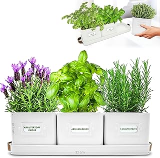 Green Thumbz 3 STK. Kräutertopf – Kräutertöpfe für Deinen Kräutergarten und Fensterbank Inne…