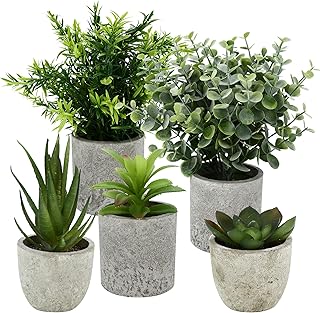 5 Stück Kunstpflanze, Mini Künstliche Pflanzen Schlangenzunge, Agave Sukkulente, Eagle Claw Alo…