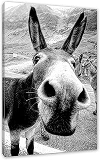 Pixxprint Lustiger Esel auf Straße in den Bergen, Monochrome, Größe: 100x70cm, Leinwandbild, f…