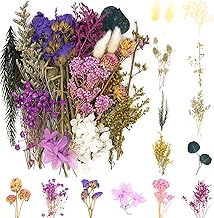 Natürliche Getrocknete Blumen,Blumen Natürliche Gemischte,DIY Natürliche Getrocknet Blumen Set…