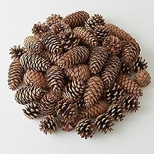 100 Tannenzapfen Dekoration, Tannenzapfen Zum Basteln, Natürliche Kiefernzapfen Für Weihnachtsb…