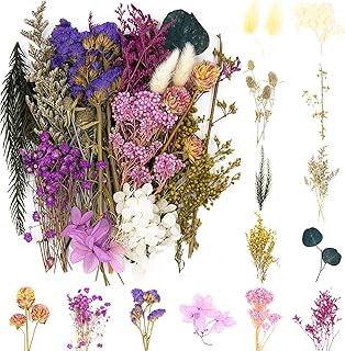 Natürliche Getrocknete Blumen,Blumen Natürliche Gemischte,DIY Natürliche Getrocknet Blumen Set…