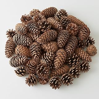 100 Tannenzapfen Dekoration, Tannenzapfen Zum Basteln, Natürliche Kiefernzapfen Für Weihnachtsb…
