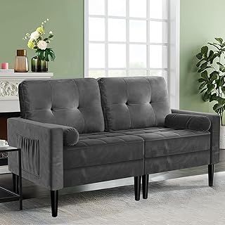 2-Sitzer-Sofa, Samt Couch mit 2 Kissen, Sitzkissen, Modernes Sofa in der Mitte des Jahrhunderts, …