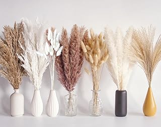 125 Stück getrocknetes Pampasgras-Bouquet, Boho-Tischdeko, Bunny-Tails-Trockenblumen, braunes un…