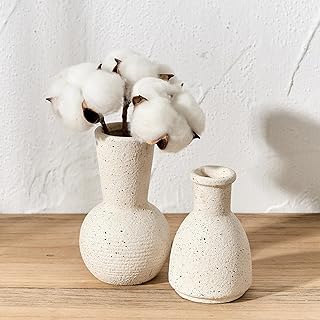 Weiße Keramikvasen im 2er-Set, niedliche Boho handgefertigte antike Dekoration, Mini einfache no…