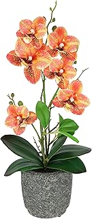 Kunstblume Schmetterling Orchidee 38cm mit Blätter und Luftwurzeln im Topf aus Keramik Künstlic…