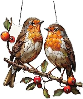 Solarcatcher – Fensterdekoration zum Aufhängen | Farbiges Panel aus Acryl | Prisma für Innenr…