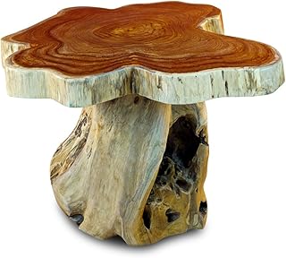 Kinaree Holz Beistelltisch mit Baumscheibe ALOR Setar mit Ø ca. 60cm – Kleiner Wurzelholz Coucht…