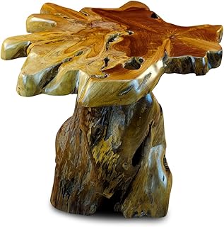 Kinaree Holz Beistelltisch ALOR Setar – Durchmesser ca. 50-55cm Beistelltisch aus Teak Massivholz…