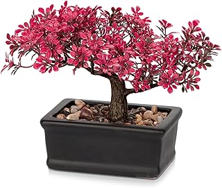 Künstliche Bonsai im Topf, Künstliche Bonsai Baum, Bonsai Kunstpflanze Wie Echt, Japanische Dek…
