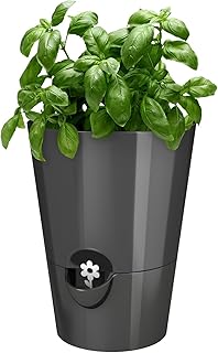 Emsa 514245 Kräutertopf für frische Kräuter, Ø 13 cm, Granit