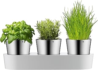 WMF Gourmet Kräutertopf mit Bewässerungssystem 3-teilig, Kräutergarten für die Küche, 36x 12…