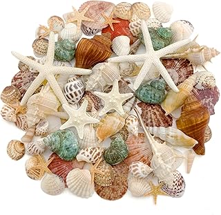 Muscheln Zum Basteln, ca. 400g Natürliche Muscheln Deko 3-10cm Muscheln und Seesterne Deko für …