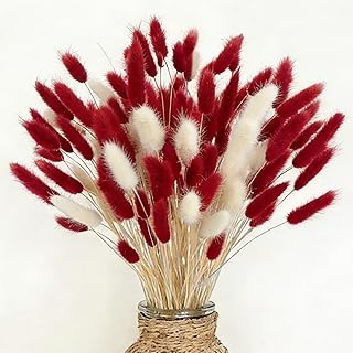 66 PCS Getrocknete Pampasgrasdekoration, Pampasgras-Bouquet, Natürlich Getrocknete Pampas, für …