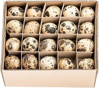 NaDeco Wachteleier Natur 60 Stück, ausgeblasen & gereinigt, Ostereier Ostern Osterdeko Deko Deko…