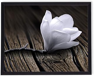 Bild im Rahmen | Plakat | Modern | Wand Künstlerisch | Verschiedene Themen 40 x 50 cm (weiße Ma…