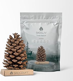 Lufterfrischer- Natürlicher Kiefernzapfen mit skandinavischem Waldduft – Biologisch abbaubare Fo…