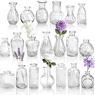 BTSD-home 20 Stück Blumenvase Set, Kleine Vasen für Tischdeko mit elegantem Design, robust zur …