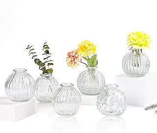 Vasen Klein Glas EylKoi – Vasen Klein Tischdeko 6 Teile/Satz Klar Verschiedene Formen Hochzeit, T…