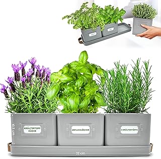 Green Thumbz 3 STK. Kräutertopf – Kräutertöpfe für Deinen Kräutergarten und Fensterbank Inne…