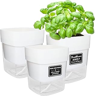 iDattel Kräutertopf Küche Set Fensterbank Selbstbewässernd, 3er Kräutertopf Blumentopf,12X14X…